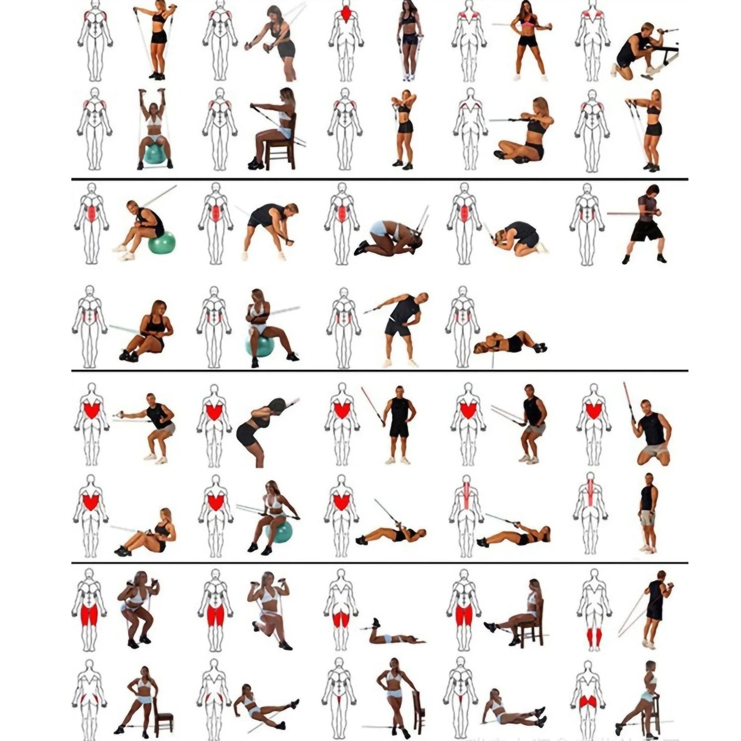 Bandas de Resistencia Flexibles