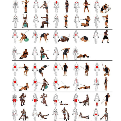 Bandas de Resistencia Flexibles